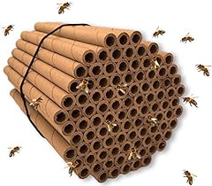 Mason bee tubes for sale  Delivered anywhere in USA 