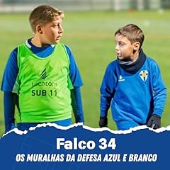 Falco muralhas defesa usato  Spedito ovunque in Italia 