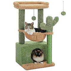 Pequlti cactus cat for sale  Delivered anywhere in USA 