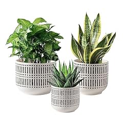 Docrin plant pots for sale  Delivered anywhere in USA 