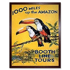 Amazon toucan river for sale  Delivered anywhere in USA 
