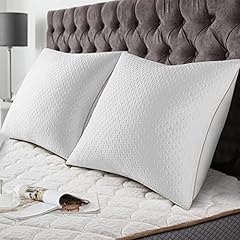 Bedstory oreillers 60x60 d'occasion  Livré partout en France