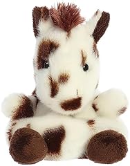 Aurora adorable palm for sale  Delivered anywhere in USA 