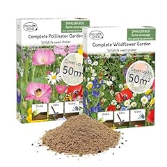 Pronto seed wildflower for sale  Delivered anywhere in UK