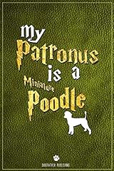Patronus miniature poodle for sale  Delivered anywhere in UK