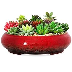 Artketty succulent pots for sale  Delivered anywhere in USA 