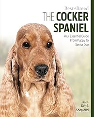 The cocker spaniel d'occasion  Livré partout en France