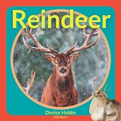 Reindeer everything ever for sale  Delivered anywhere in UK