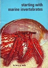 Starting with marine usato  Spedito ovunque in Italia 