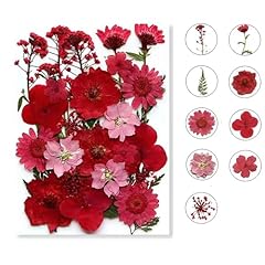 Dried pressed flowers for sale  Delivered anywhere in USA 