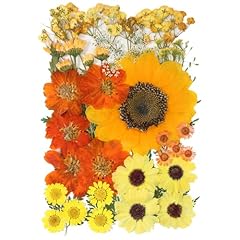 Pcs dried flowers for sale  Delivered anywhere in USA 