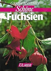 Fuchsien balkon terrasse gebraucht kaufen  Wird an jeden Ort in Deutschland