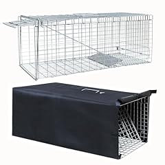 Live feral cat for sale  Delivered anywhere in USA 