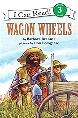 Wagon wheels level for sale  Delivered anywhere in USA 