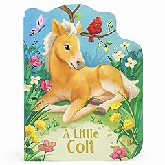 Little colt baby for sale  Delivered anywhere in USA 