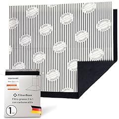 Filterbase filtro carbone usato  Spedito ovunque in Italia 