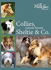 Collies sheltie co. for sale  Delivered anywhere in UK