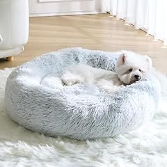Calming small dog for sale  Delivered anywhere in USA 