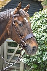Horse riding hunter for sale  Delivered anywhere in UK