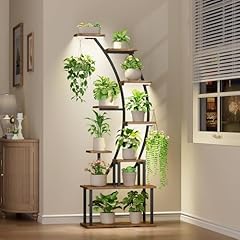 Bacekoll plant stand for sale  Delivered anywhere in USA 