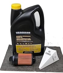 Briggs stratton oil for sale  Delivered anywhere in USA 