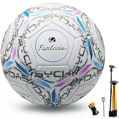 Fantecia fussball standard gebraucht kaufen  Wird an jeden Ort in Deutschland