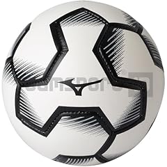 Mizuno fuji ball usato Mizuno fuji ball usato  Spedito ovunque in Italia