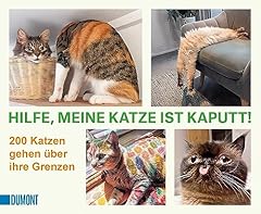 Hilfe katze kaputt gebraucht kaufen  Wird an jeden Ort in Deutschland