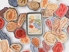 Vintage fossils sticker for sale  Delivered anywhere in USA 