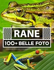Libro fotografico rane usato  Spedito ovunque in Italia 