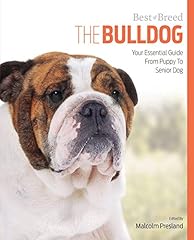 Bulldog best breed d'occasion  Livré partout en Belgiqu