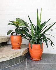 Gardenuity orange ceramic for sale  Delivered anywhere in USA 