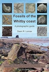 Fossils whitby coast for sale  Delivered anywhere in UK