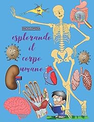 Esplorando corpo umano usato  Spedito ovunque in Italia 