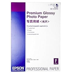 Epson c13s042091 premium usato  Spedito ovunque in Italia 