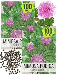 Seed needs sensitive for sale  Delivered anywhere in USA 