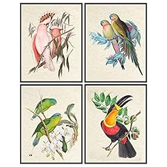 Bird wall art for sale  Delivered anywhere in USA 