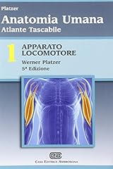 Atlante tascabile anatomia usato  Spedito ovunque in Italia 