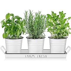 Dayyet farmhouse herb for sale  Delivered anywhere in USA 