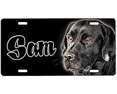 Black labrador retriever for sale  Delivered anywhere in USA 