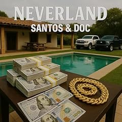 Neverland usato  Spedito ovunque in Italia 