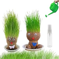 Graskopf puppenpflanze 2pcs gebraucht kaufen  Wird an jeden Ort in Deutschland
