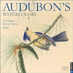 Audubon watercolors 2024 for sale  Delivered anywhere in USA 
