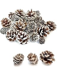 30pcs christmas pine for sale  Delivered anywhere in USA 