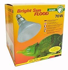 Lucky reptile bright gebraucht kaufen  Wird an jeden Ort in Deutschland