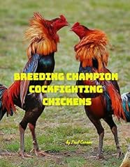 Breeding champion cockfighting for sale  Delivered anywhere in UK