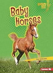 Baby horses usato  Spedito ovunque in Italia 
