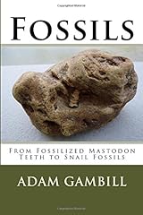 Fossils fossilized mastodon for sale  Delivered anywhere in USA 