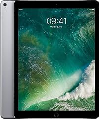 Apple ipad pro gebraucht kaufen  Wird an jeden Ort in Deutschland
