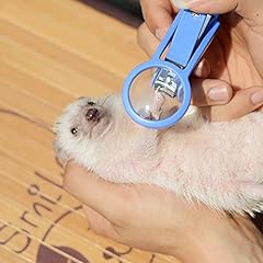 Frjjthchy pet hamster for sale  Delivered anywhere in USA 